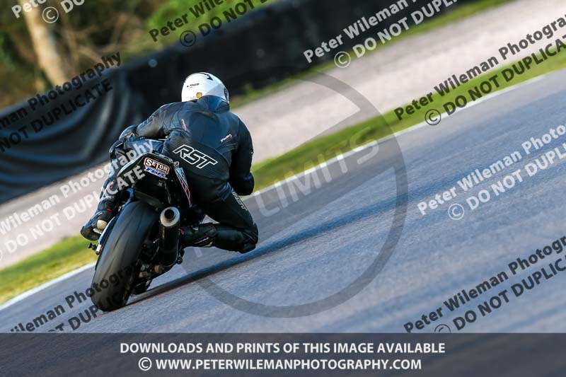 Oulton Park 20th March 2020;PJ Motorsport Photography 2020;anglesey;brands hatch;cadwell park;croft;donington park;enduro digital images;event digital images;eventdigitalimages;mallory;no limits;oulton park;peter wileman photography;racing digital images;silverstone;snetterton;trackday digital images;trackday photos;vmcc banbury run;welsh 2 day enduro